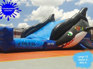 Inflable Orca