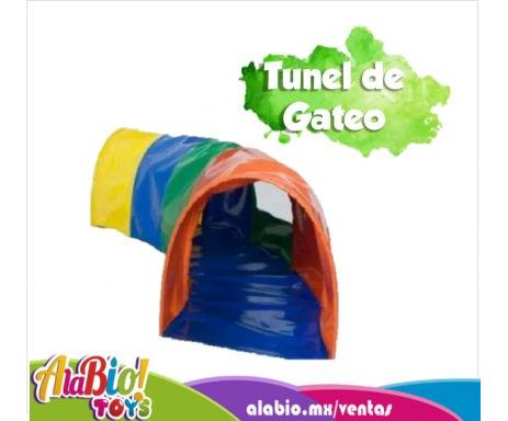 GLOBAL LATIN GROUP Túnel Bebe Alfombra Para Gateo Y Juegos