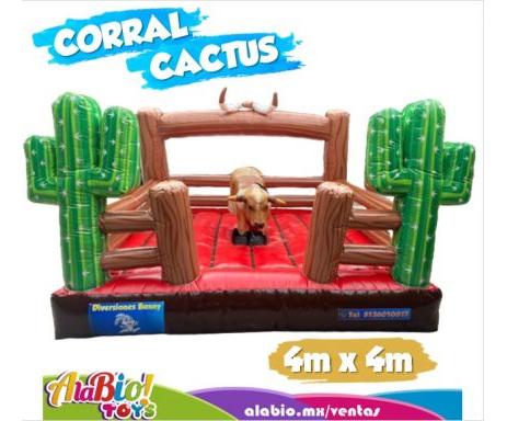 Corral Cactus
